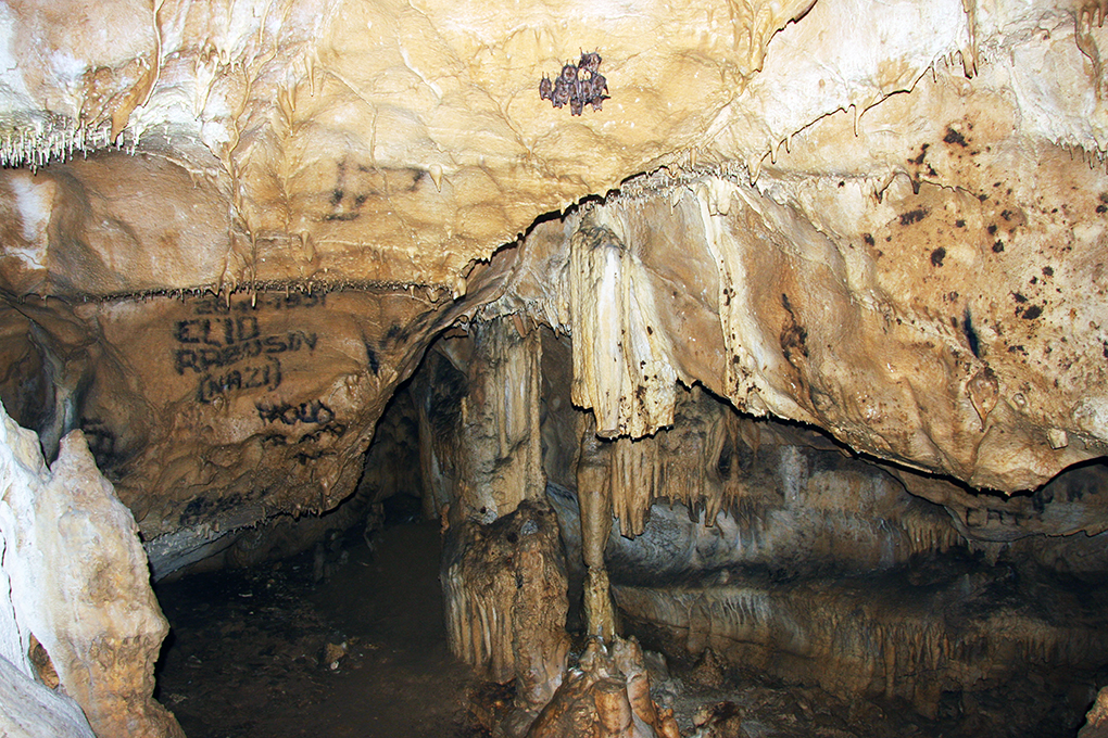 grotta_dei_pipistrelli_069_28042011.JPG