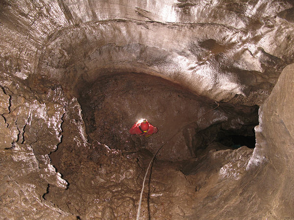 Clicca per vedere l'immagine alla massima grandezza