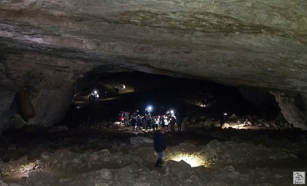 Clicca per vedere l'immagine alla massima grandezza