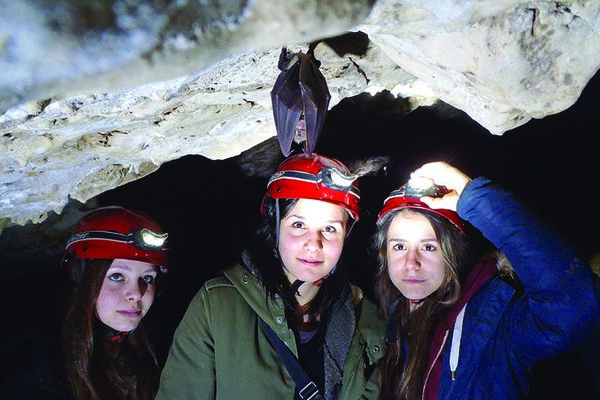 Clicca per vedere l'immagine alla massima grandezza