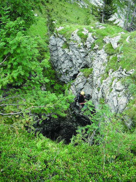 Clicca per vedere l'immagine alla massima grandezza