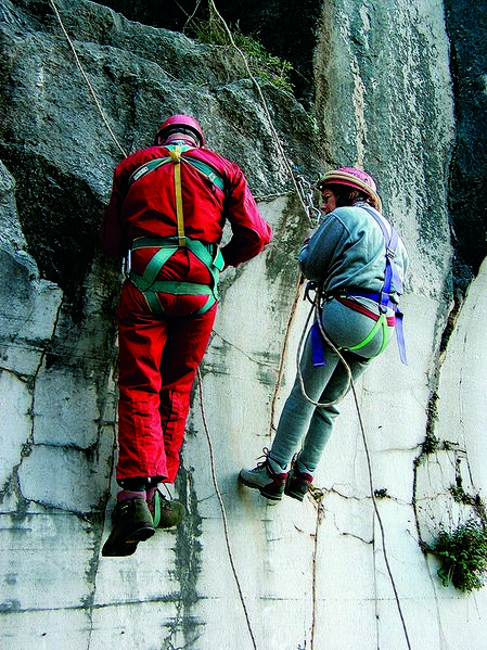 Clicca per vedere l'immagine alla massima grandezza