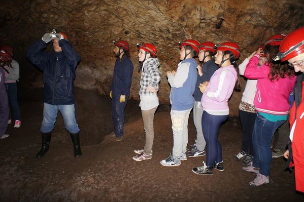 Clicca per vedere l'immagine alla massima grandezza