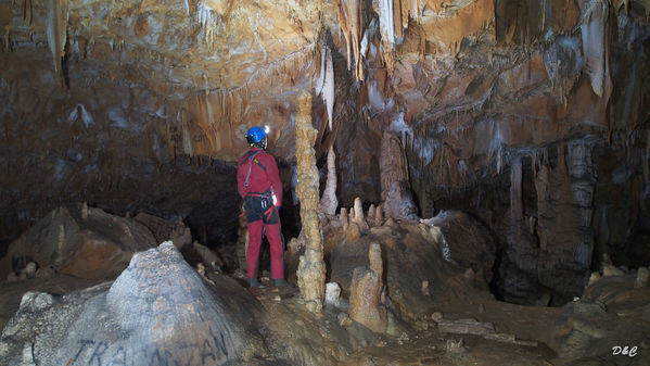 Clicca per vedere l'immagine alla massima grandezza