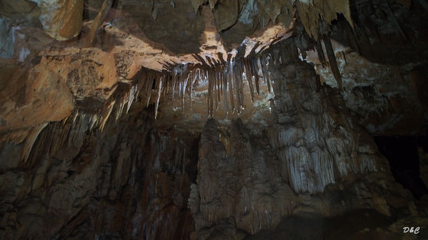 Clicca per vedere l'immagine alla massima grandezza