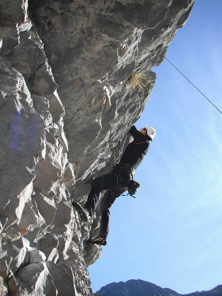 Clicca per vedere l'immagine alla massima grandezza