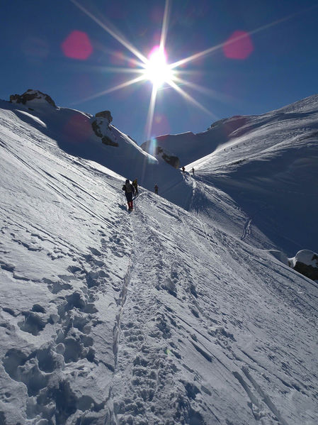 Clicca per vedere l'immagine alla massima grandezza