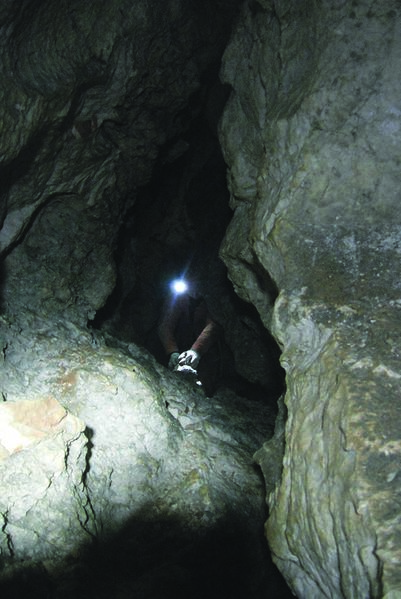 Clicca per vedere l'immagine alla massima grandezza