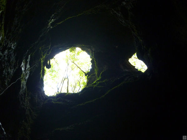 Clicca per vedere l'immagine alla massima grandezza