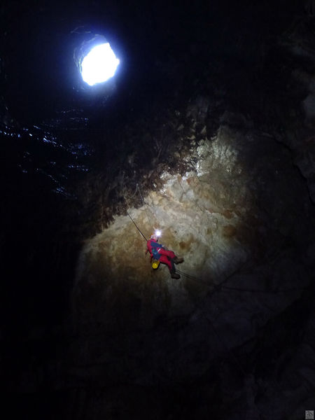 Clicca per vedere l'immagine alla massima grandezza