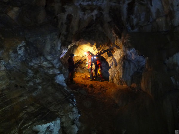 Clicca per vedere l'immagine alla massima grandezza