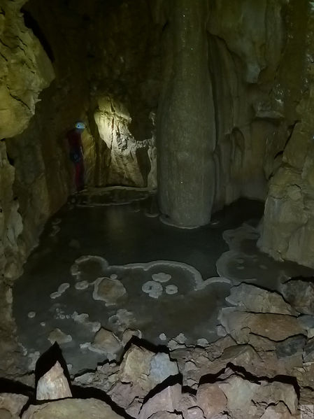 Clicca per vedere l'immagine alla massima grandezza