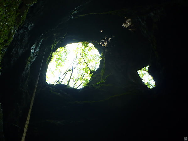 Clicca per vedere l'immagine alla massima grandezza