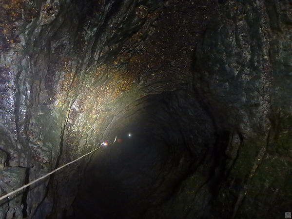 Clicca per vedere l'immagine alla massima grandezza