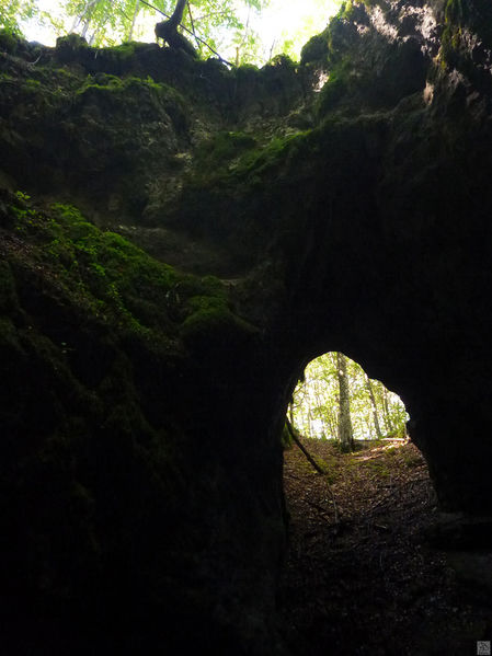 Clicca per vedere l'immagine alla massima grandezza