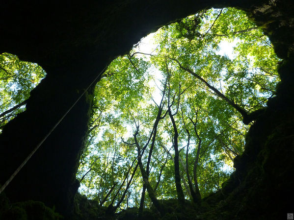 Clicca per vedere l'immagine alla massima grandezza