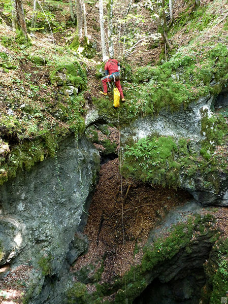 Clicca per vedere l'immagine alla massima grandezza