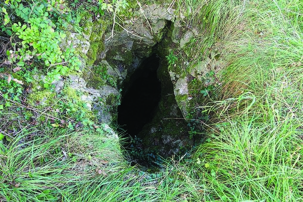 Clicca per vedere l'immagine alla massima grandezza