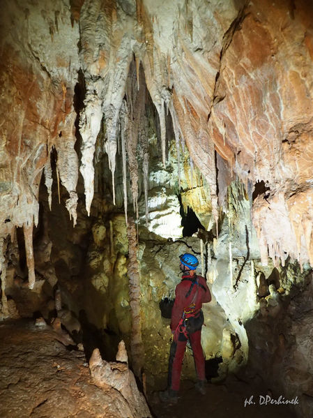 Clicca per vedere l'immagine alla massima grandezza