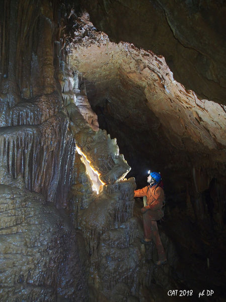 Clicca per vedere l'immagine alla massima grandezza