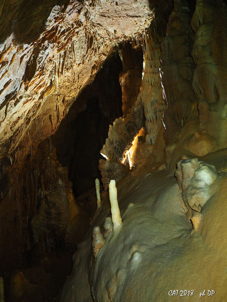 Clicca per vedere l'immagine alla massima grandezza