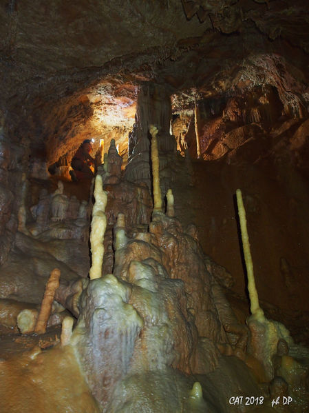 Clicca per vedere l'immagine alla massima grandezza