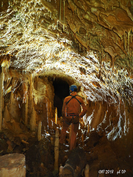 Clicca per vedere l'immagine alla massima grandezza