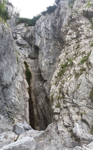 Clicca per vedere l'immagine alla massima grandezza