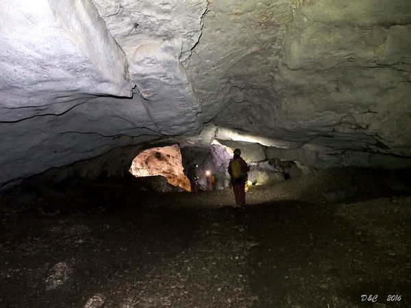 Clicca per vedere l'immagine alla massima grandezza