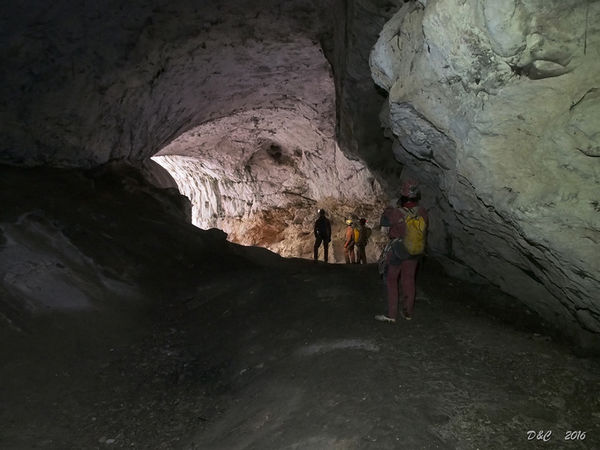 Clicca per vedere l'immagine alla massima grandezza