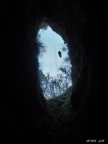 Clicca per vedere l'immagine alla massima grandezza