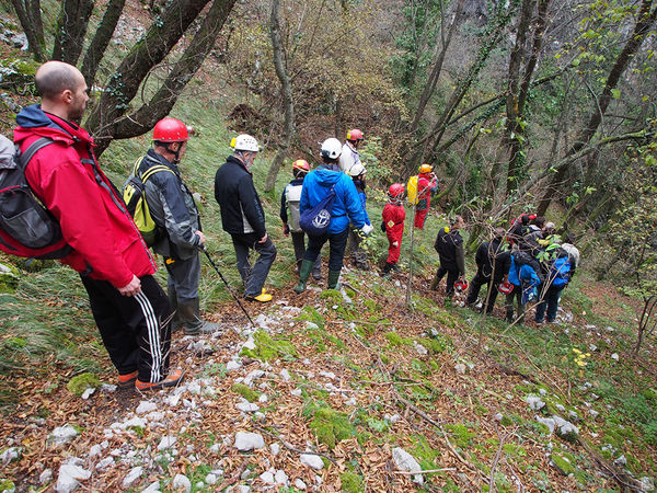 Clicca per vedere l'immagine alla massima grandezza