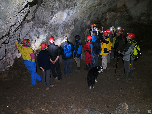 Clicca per vedere l'immagine alla massima grandezza