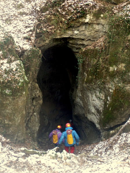 Clicca per vedere l'immagine alla massima grandezza