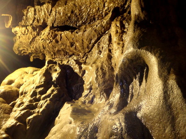 Clicca per vedere l'immagine alla massima grandezza