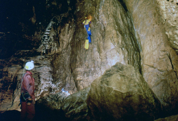 Clicca per vedere l'immagine alla massima grandezza