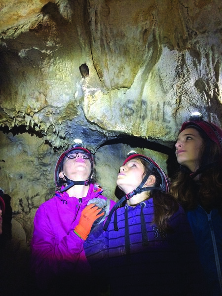 Clicca per vedere l'immagine alla massima grandezza