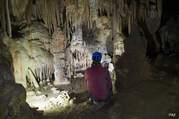 Clicca per vedere l'immagine alla massima grandezza