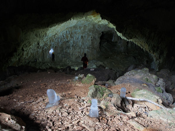 Clicca per vedere l'immagine alla massima grandezza