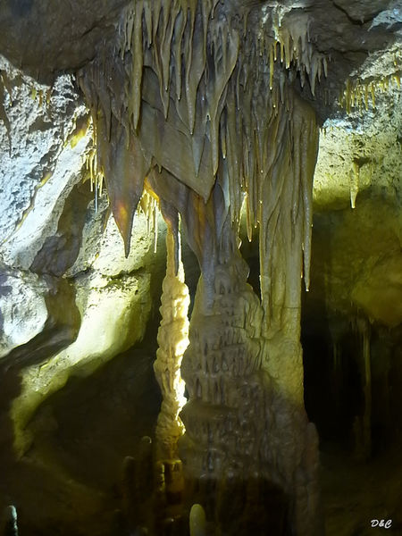 Clicca per vedere l'immagine alla massima grandezza