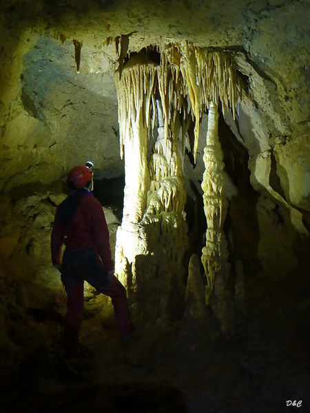 Clicca per vedere l'immagine alla massima grandezza