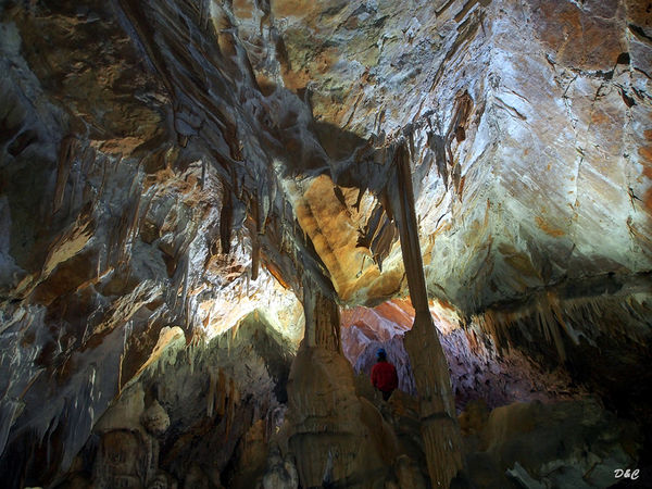 Clicca per vedere l'immagine alla massima grandezza