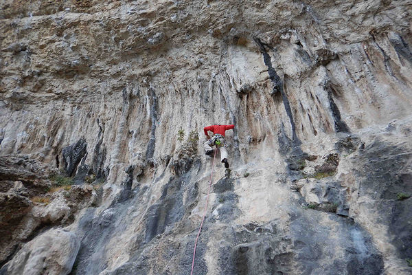 Clicca per vedere l'immagine alla massima grandezza