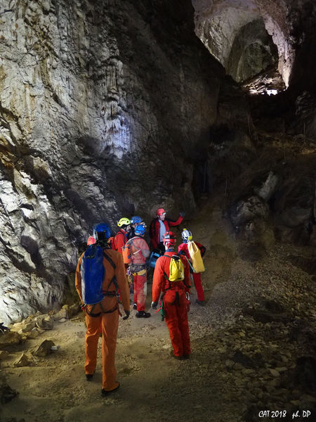 Clicca per vedere l'immagine alla massima grandezza