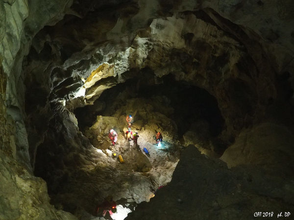 Clicca per vedere l'immagine alla massima grandezza