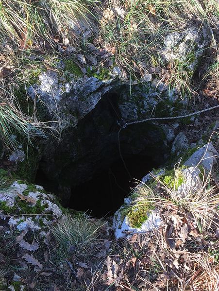 Clicca per vedere l'immagine alla massima grandezza