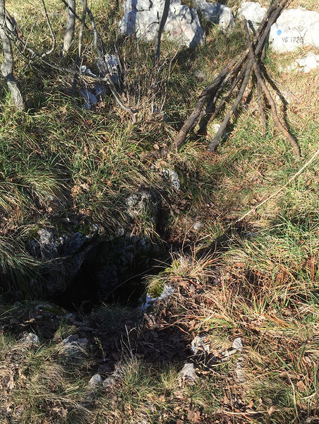 Clicca per vedere l'immagine alla massima grandezza