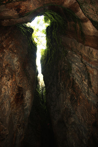 Clicca per vedere l'immagine alla massima grandezza