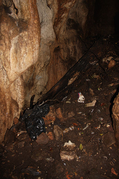 Clicca per vedere l'immagine alla massima grandezza