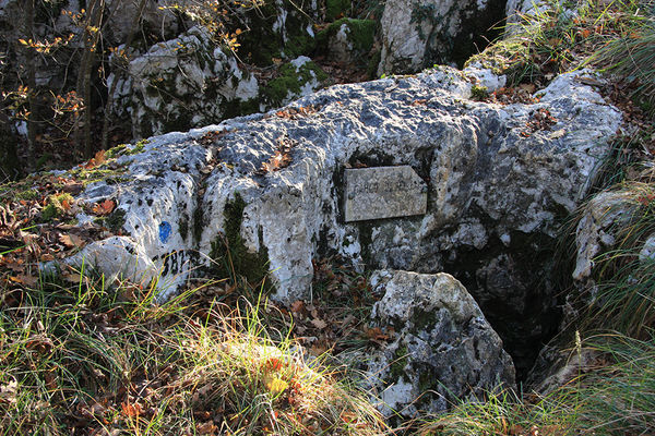 Clicca per vedere l'immagine alla massima grandezza